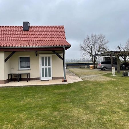 Ferienhaus Altenhof Mueritz Buitenkant foto